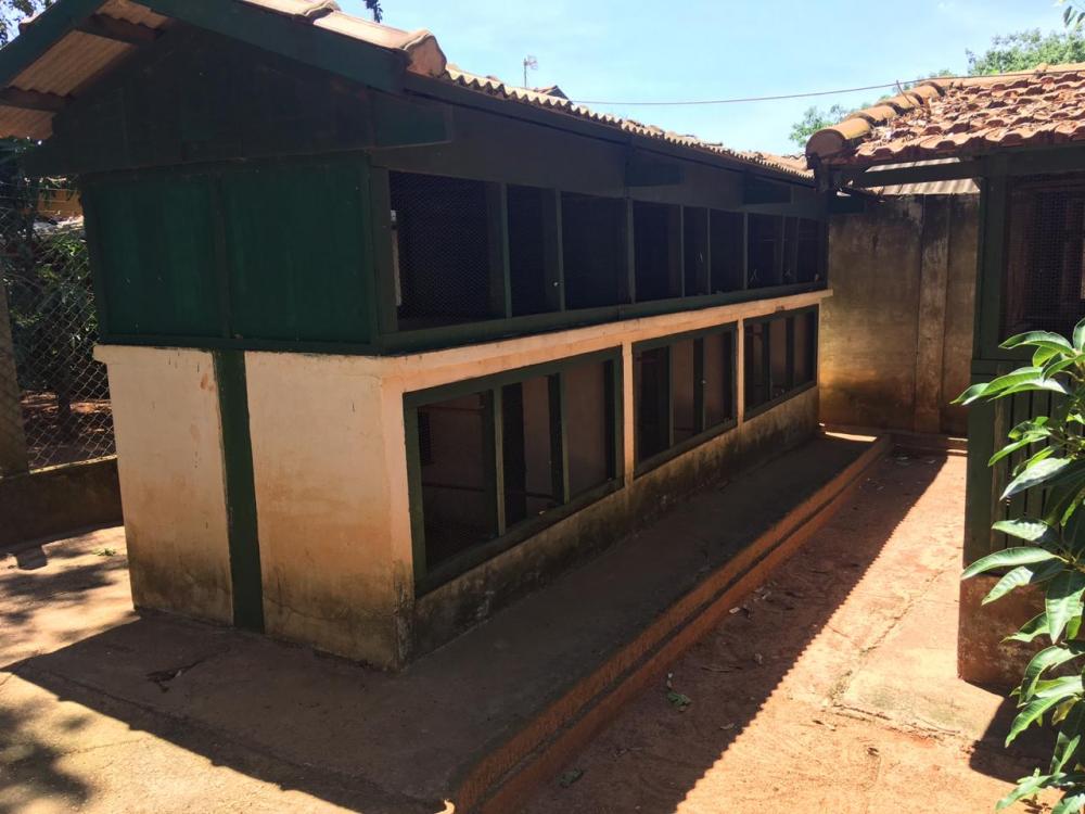Comprar Rural / Chácara em São José do Rio Preto apenas R$ 1.800.000,00 - Foto 8