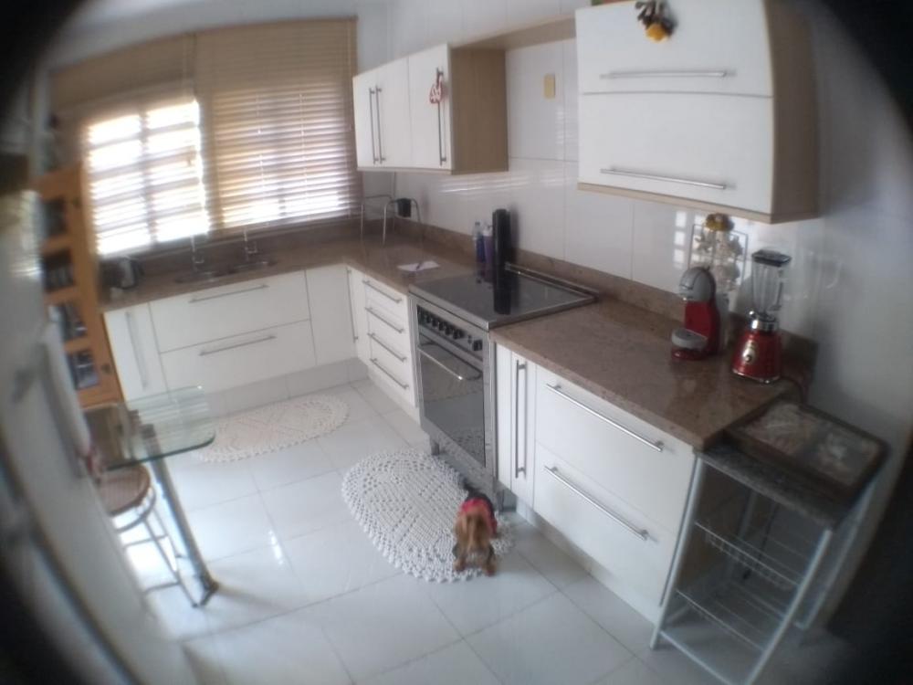 Comprar Casa / Padrão em São José do Rio Preto apenas R$ 750.000,00 - Foto 1