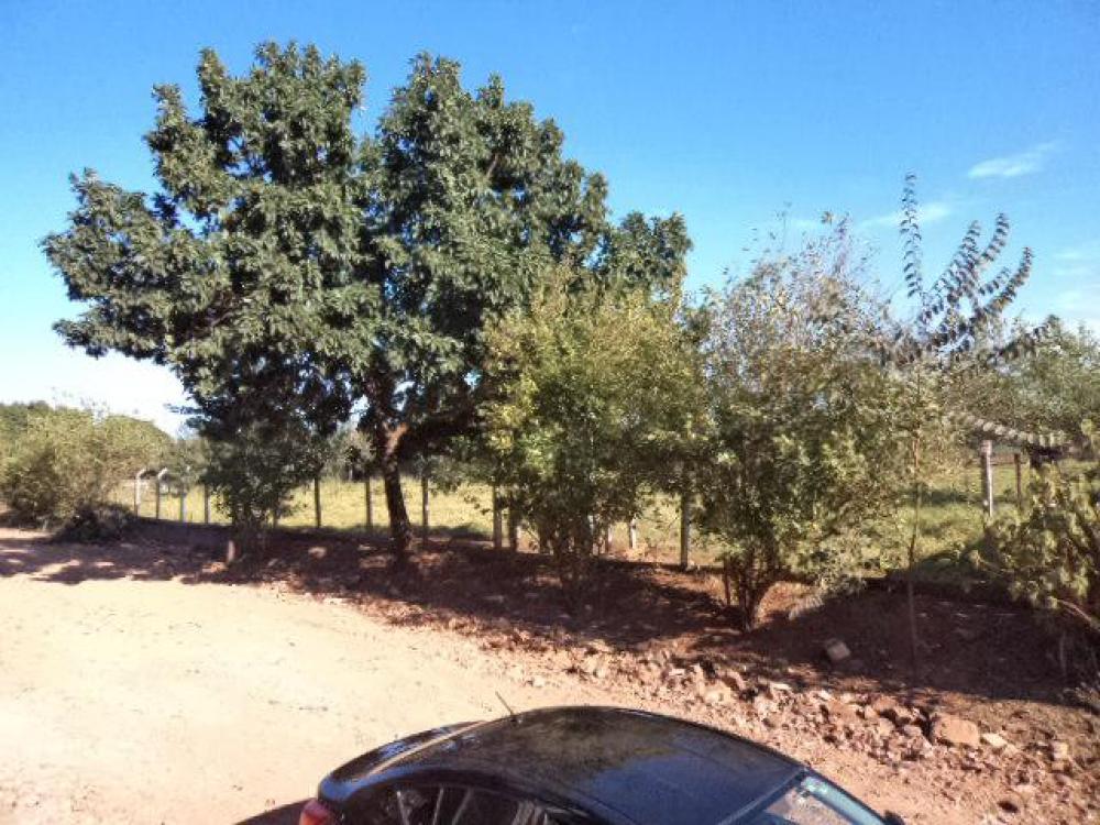 Comprar Terreno / Área em São José do Rio Preto apenas R$ 12.000.000,00 - Foto 18