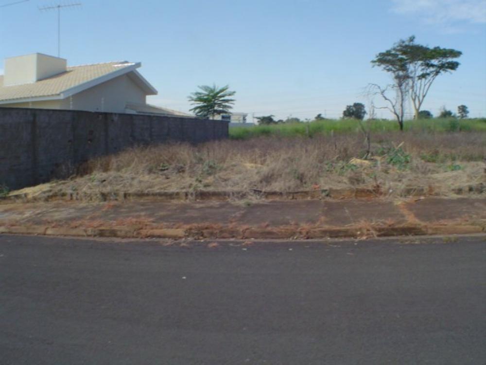 Comprar Terreno / Padrão em São José do Rio Preto R$ 370.000,00 - Foto 1