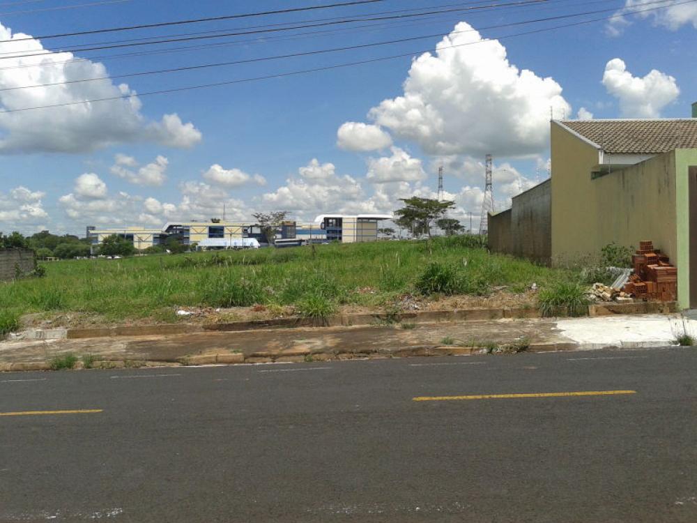 Comprar Terreno / Padrão em São José do Rio Preto R$ 370.000,00 - Foto 8