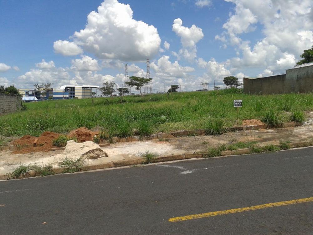 Comprar Terreno / Padrão em São José do Rio Preto apenas R$ 370.000,00 - Foto 10