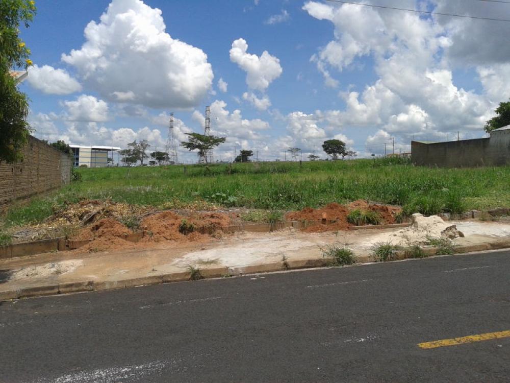 Comprar Terreno / Padrão em São José do Rio Preto R$ 370.000,00 - Foto 11