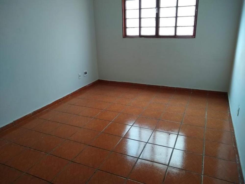 Alugar Apartamento / Padrão em São José do Rio Preto apenas R$ 850,00 - Foto 1