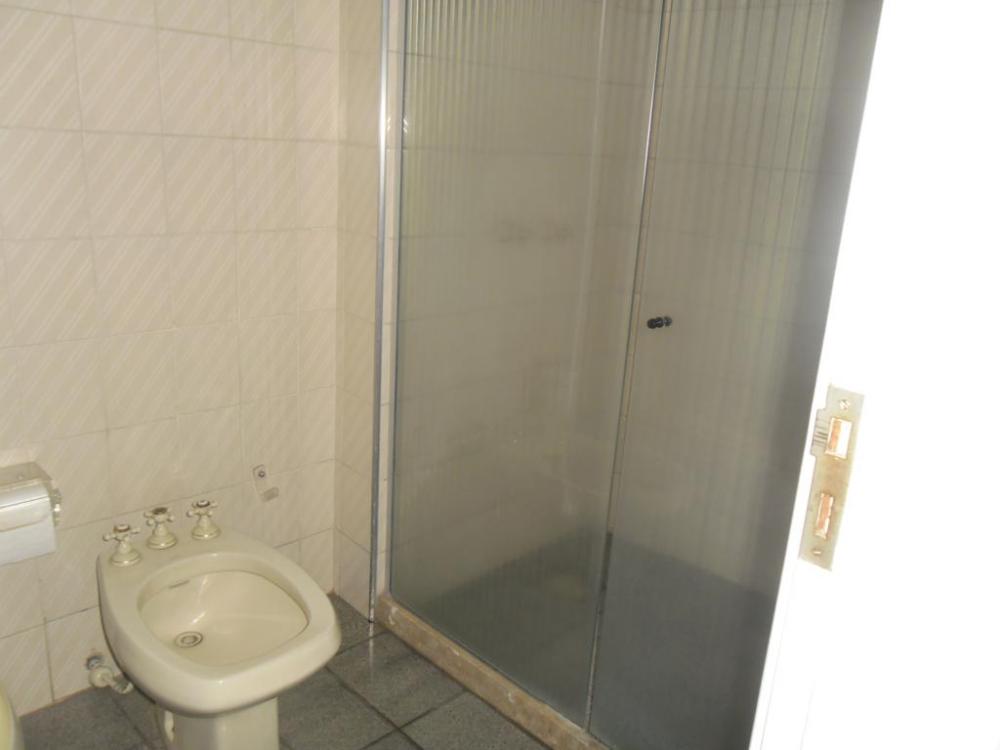 Alugar Apartamento / Padrão em São José do Rio Preto R$ 2.000,00 - Foto 19