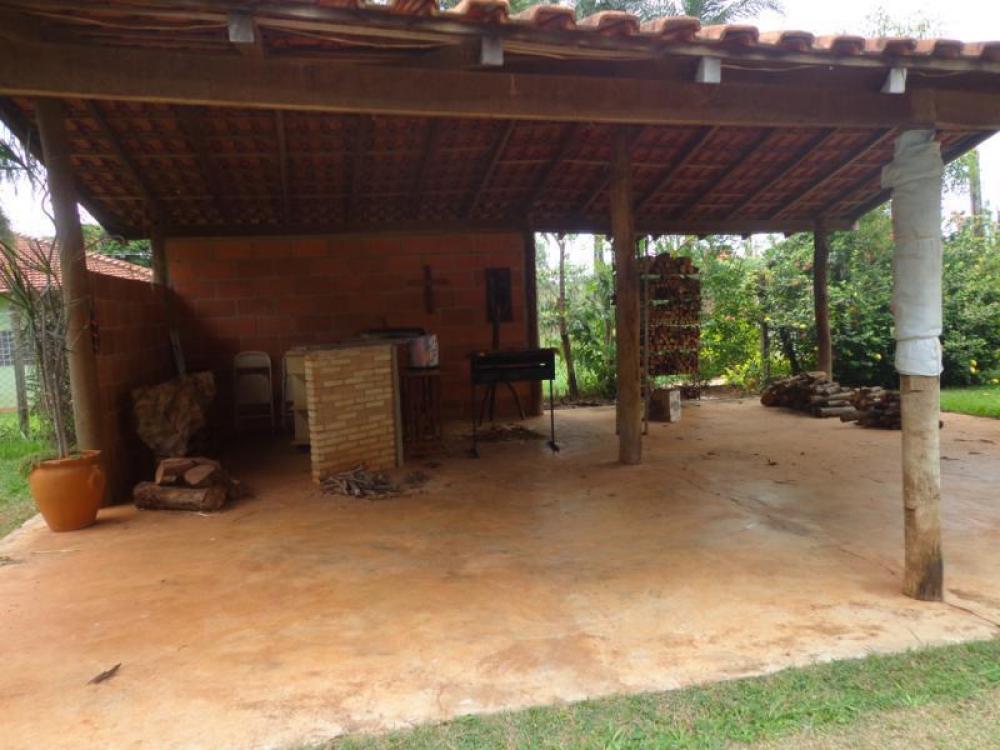 Comprar Rural / Chácara em São José do Rio Preto apenas R$ 800.000,00 - Foto 3