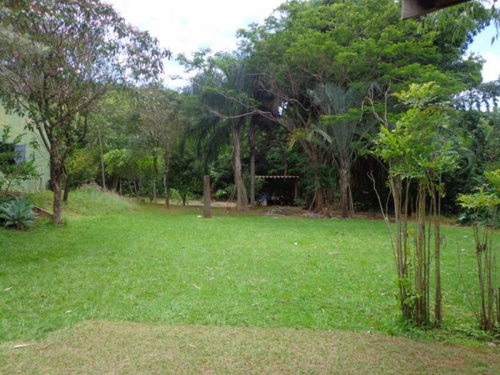 Comprar Rural / Chácara em São José do Rio Preto R$ 800.000,00 - Foto 5