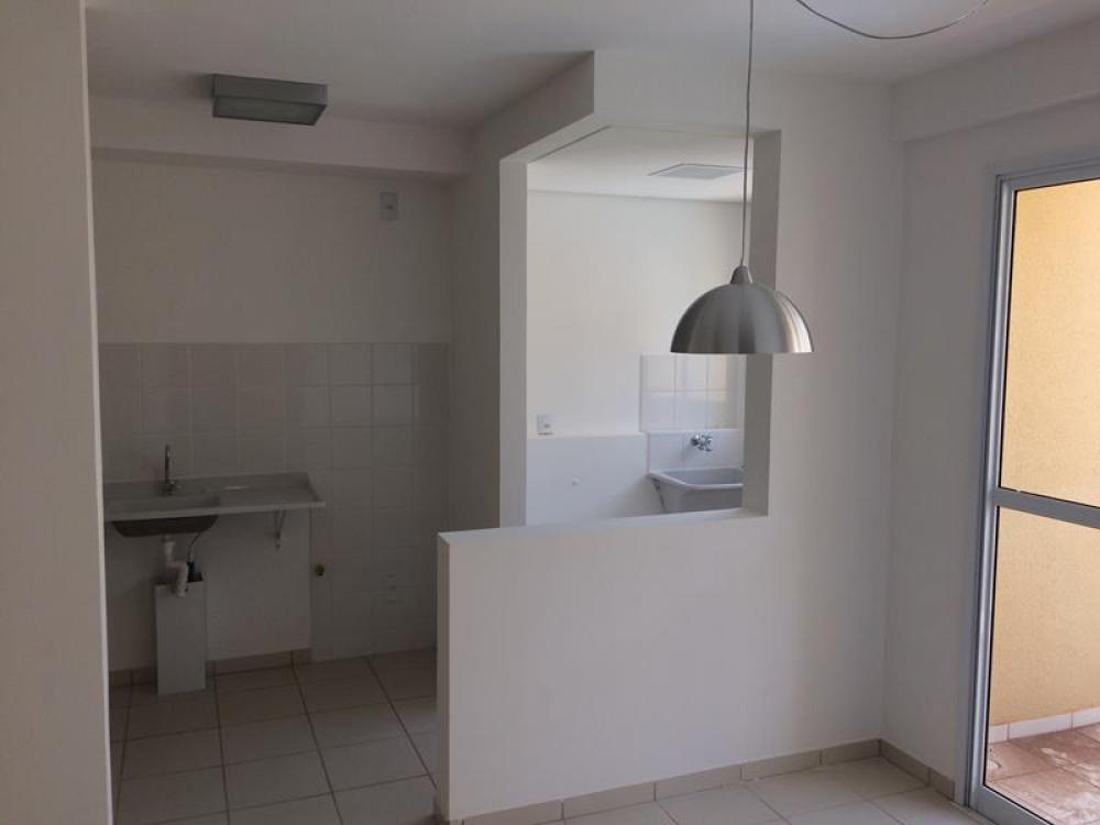 Alugar Apartamento / Padrão em São José do Rio Preto apenas R$ 650,00 - Foto 13