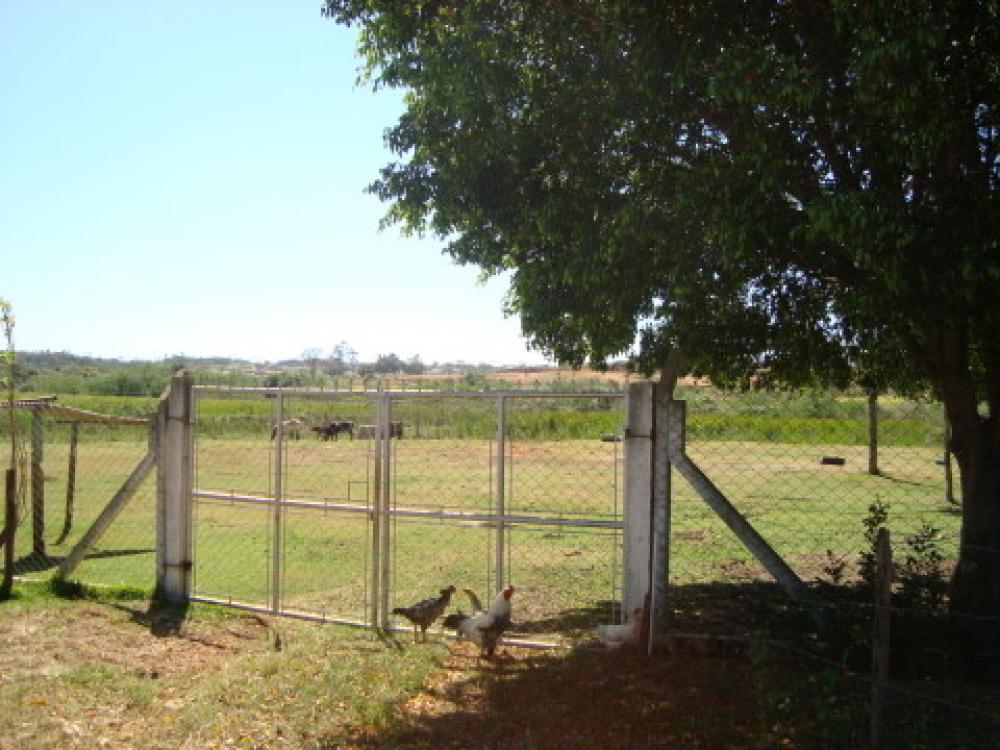 Comprar Rural / Chácara em São José do Rio Preto R$ 1.250.000,00 - Foto 26