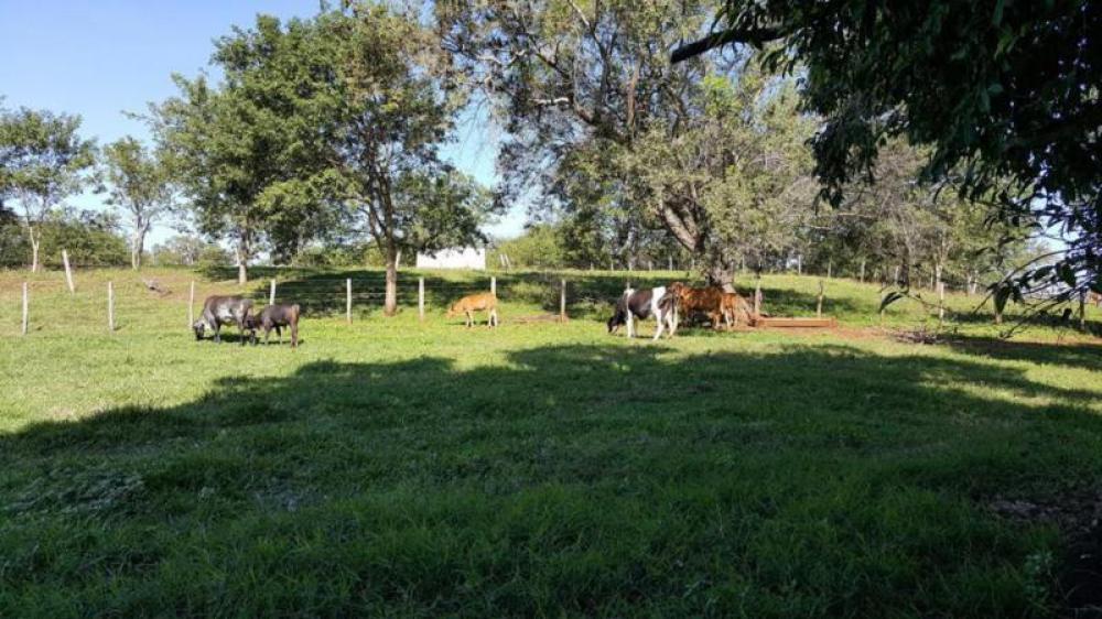 Fazenda à venda com 4 quartos, 130000m² - Foto 5