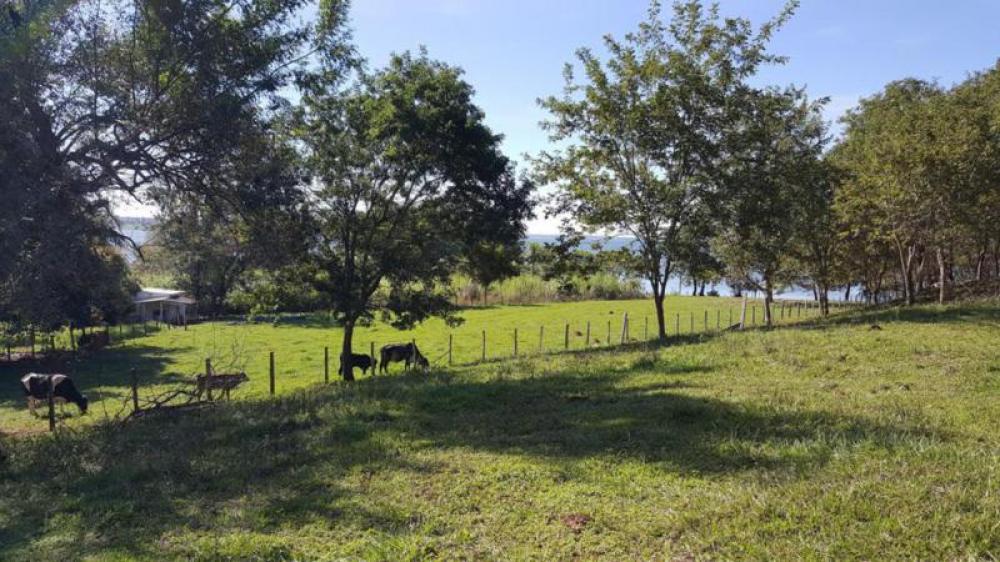 Fazenda à venda com 4 quartos, 130000m² - Foto 6