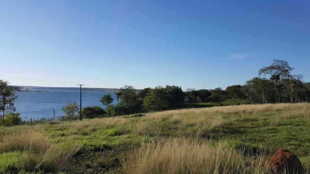 Fazenda à venda com 4 quartos, 130000m² - Foto 7