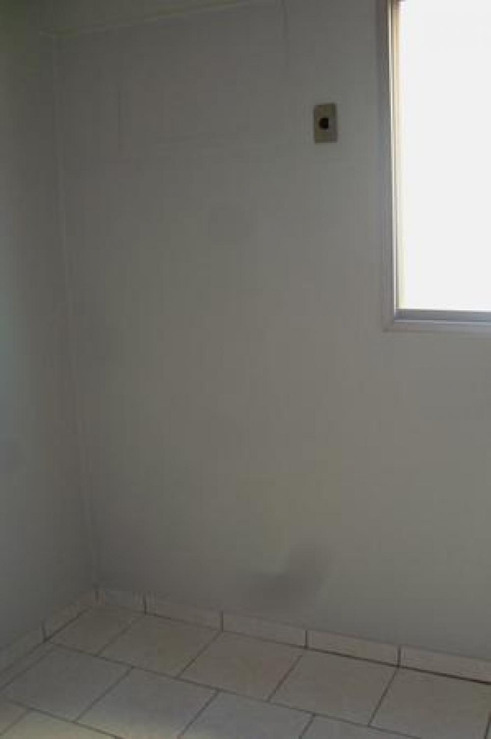 Alugar Apartamento / Padrão em São José do Rio Preto apenas R$ 800,00 - Foto 6