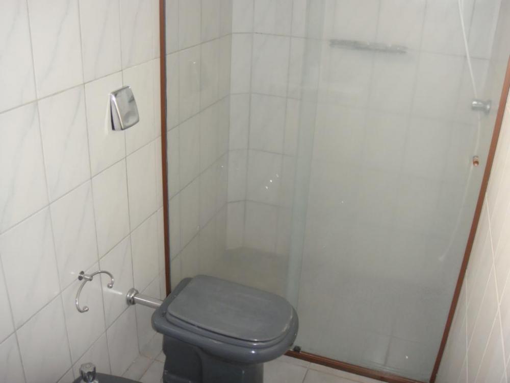 Alugar Apartamento / Padrão em São José do Rio Preto R$ 1.200,00 - Foto 18