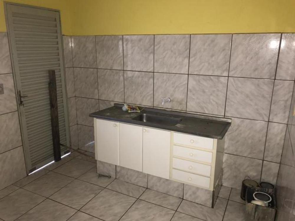 Alugar Casa / Padrão em São José do Rio Preto R$ 750,00 - Foto 3