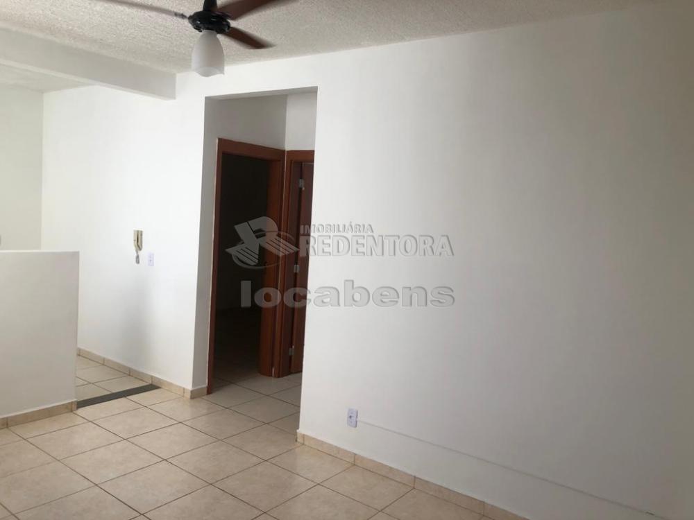 Alugar Apartamento / Padrão em São José do Rio Preto R$ 800,00 - Foto 3