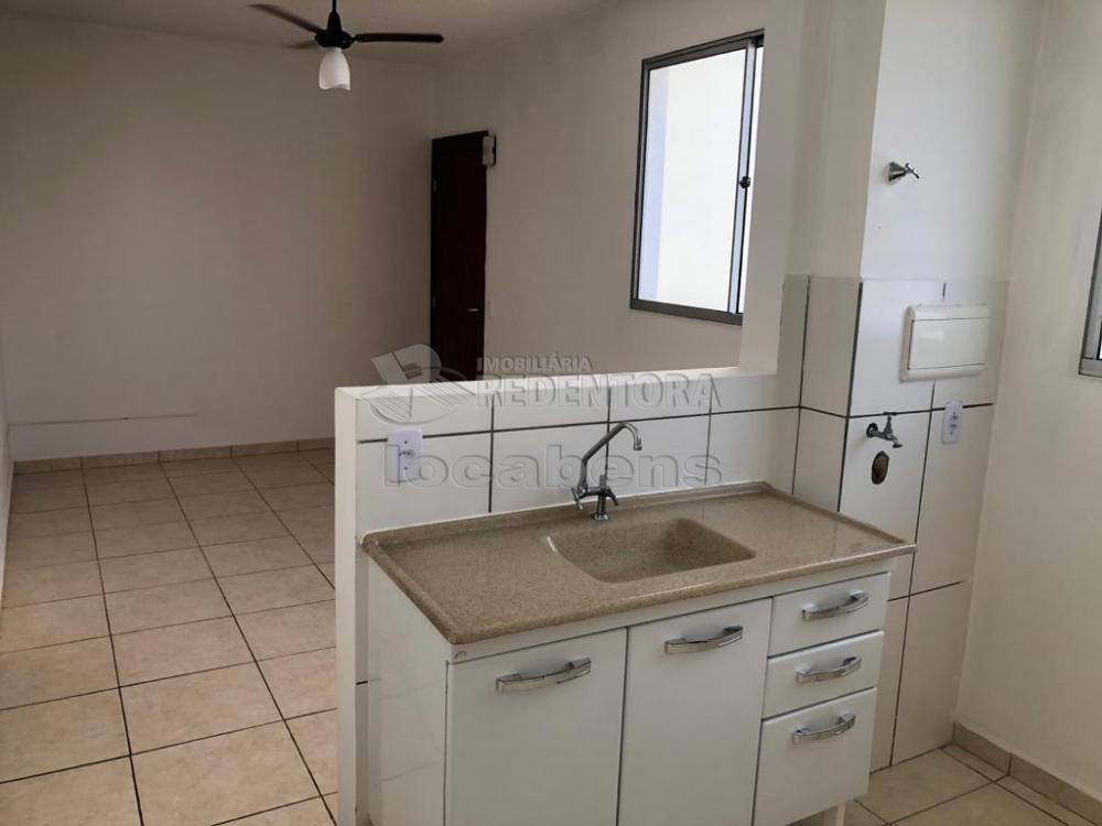 Alugar Apartamento / Padrão em São José do Rio Preto R$ 800,00 - Foto 1