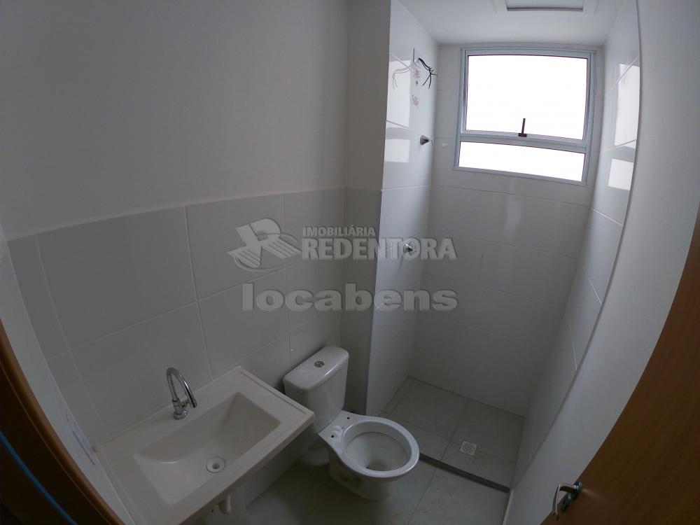 Alugar Apartamento / Padrão em São José do Rio Preto R$ 700,00 - Foto 13