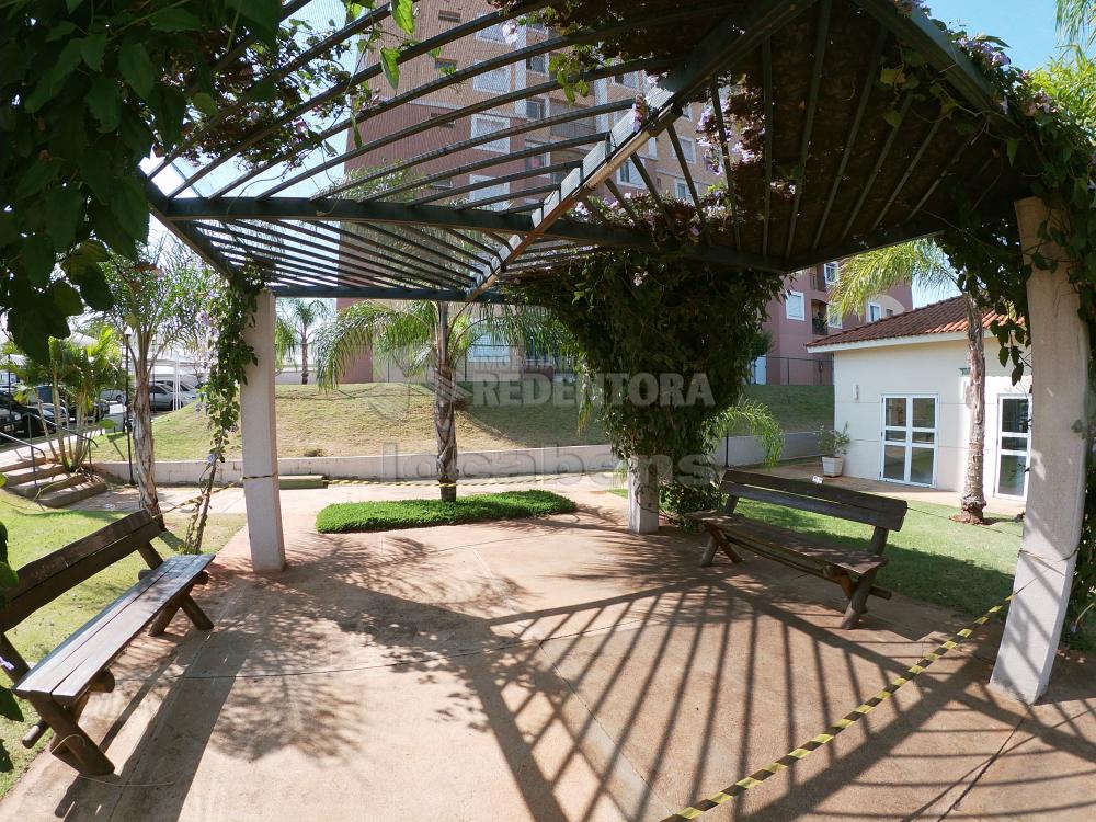 Alugar Apartamento / Padrão em São José do Rio Preto apenas R$ 950,00 - Foto 20