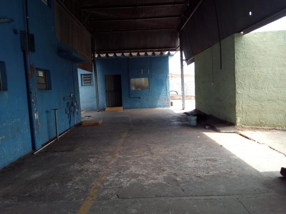 Alugar Comercial / Salão em São José do Rio Preto apenas R$ 17.000,00 - Foto 18