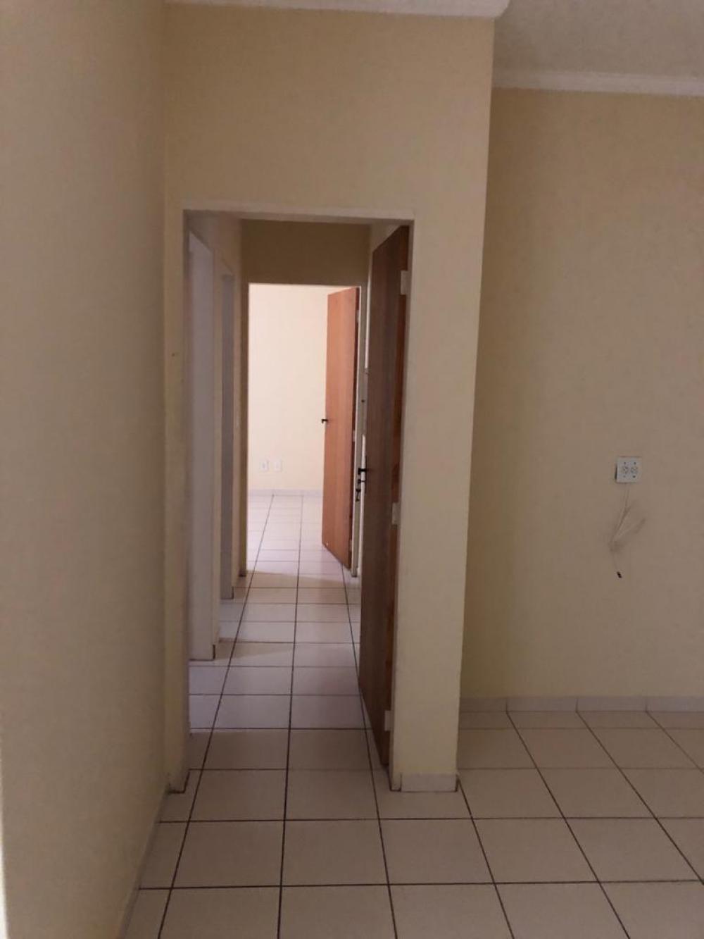 Alugar Apartamento / Padrão em São José do Rio Preto R$ 650,00 - Foto 8