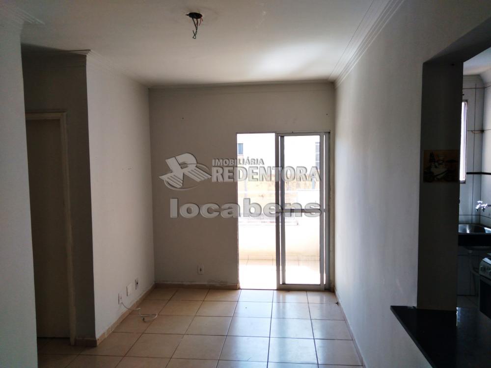 Alugar Apartamento / Padrão em São José do Rio Preto apenas R$ 500,00 - Foto 1