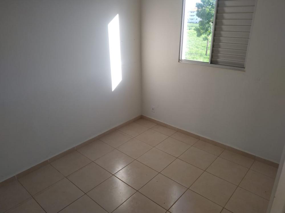 Alugar Apartamento / Padrão em São José do Rio Preto apenas R$ 500,00 - Foto 7