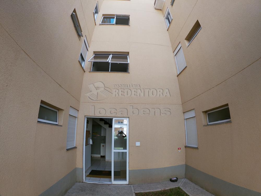 Comprar Apartamento / Padrão em São José do Rio Preto - Foto 21