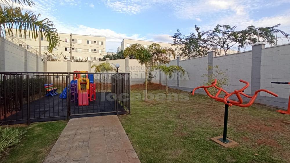 Alugar Apartamento / Padrão em São José do Rio Preto apenas R$ 700,00 - Foto 13