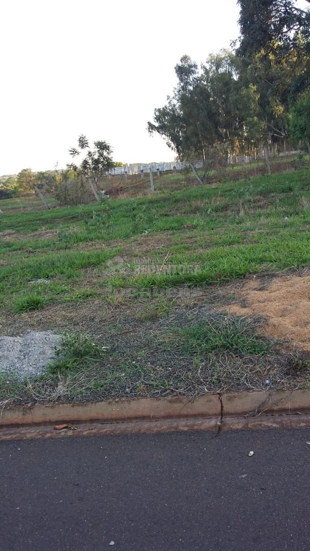 Comprar Terreno / Padrão em São José do Rio Preto R$ 110.000,00 - Foto 2