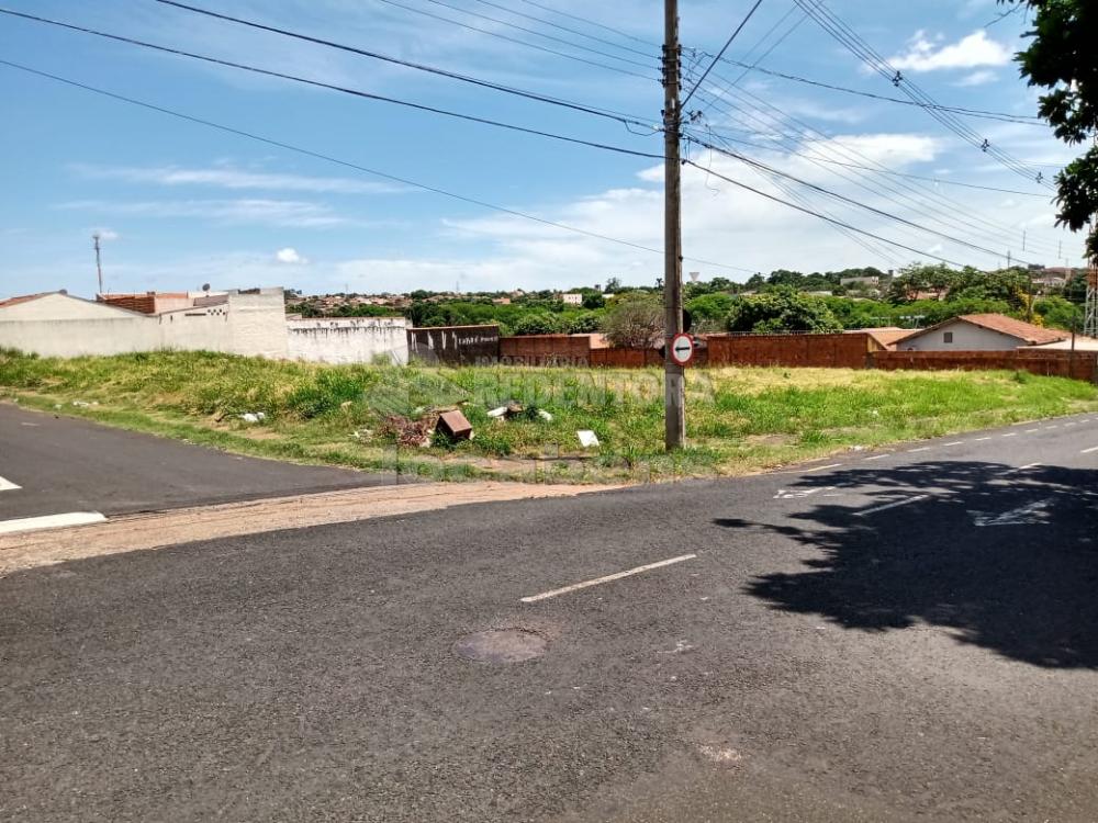 Comprar Terreno / Área em São José do Rio Preto R$ 1.200.000,00 - Foto 5
