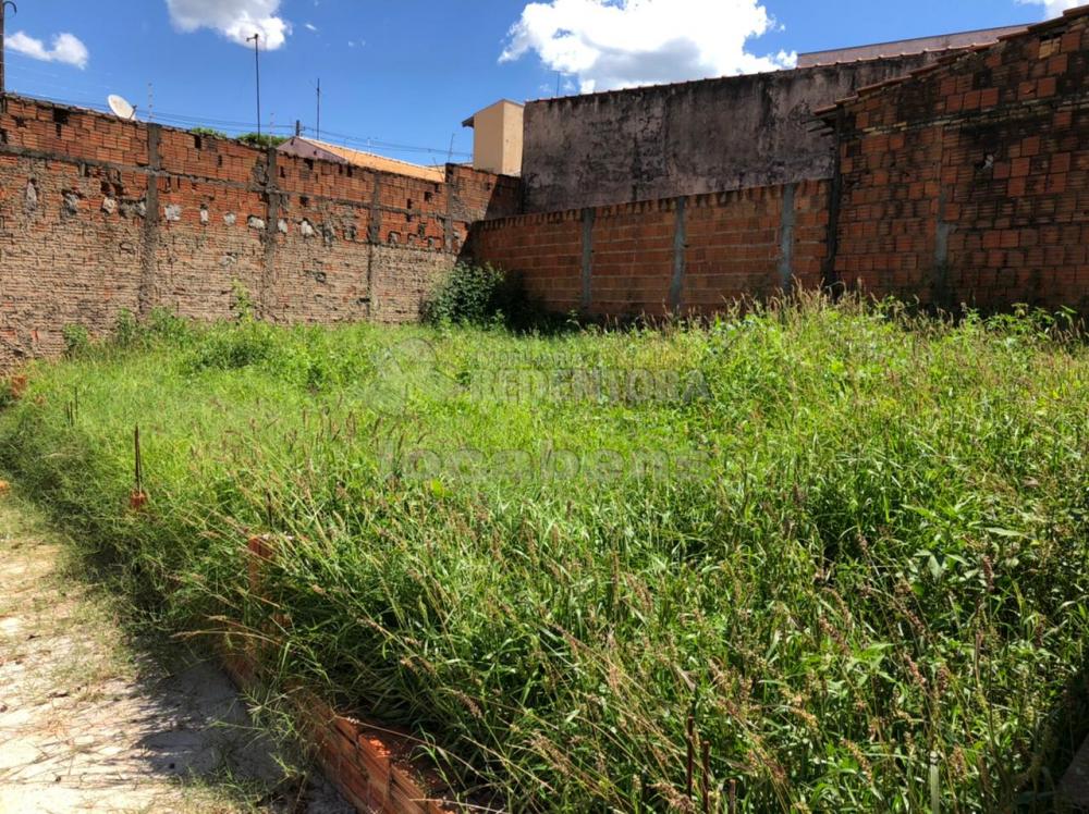 Comprar Casa / Padrão em São José do Rio Preto apenas R$ 212.000,00 - Foto 10