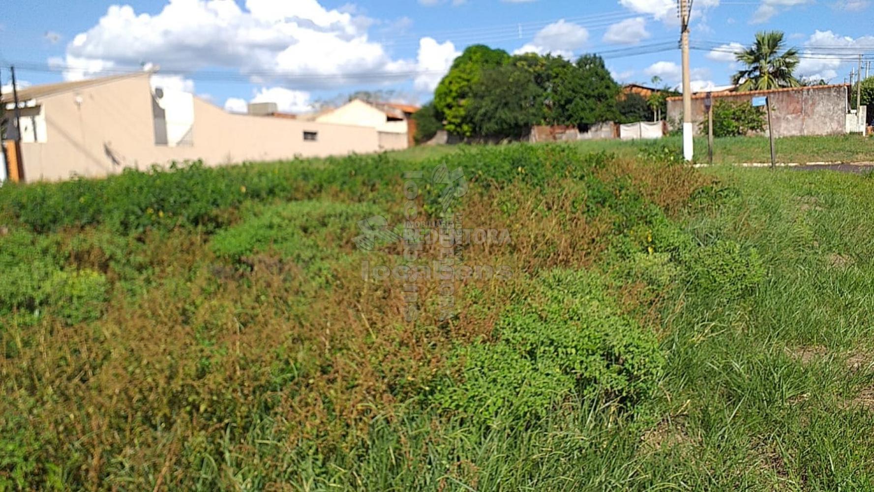 Comprar Terreno / Área em Nova Granada apenas R$ 2.800.000,00 - Foto 9