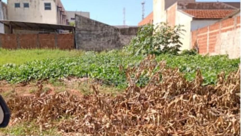 Comprar Terreno / Padrão em São José do Rio Preto R$ 250.000,00 - Foto 3