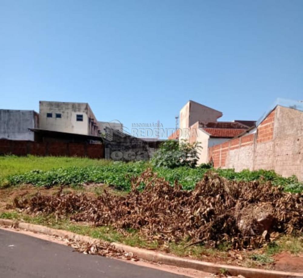 Comprar Terreno / Padrão em São José do Rio Preto R$ 250.000,00 - Foto 1