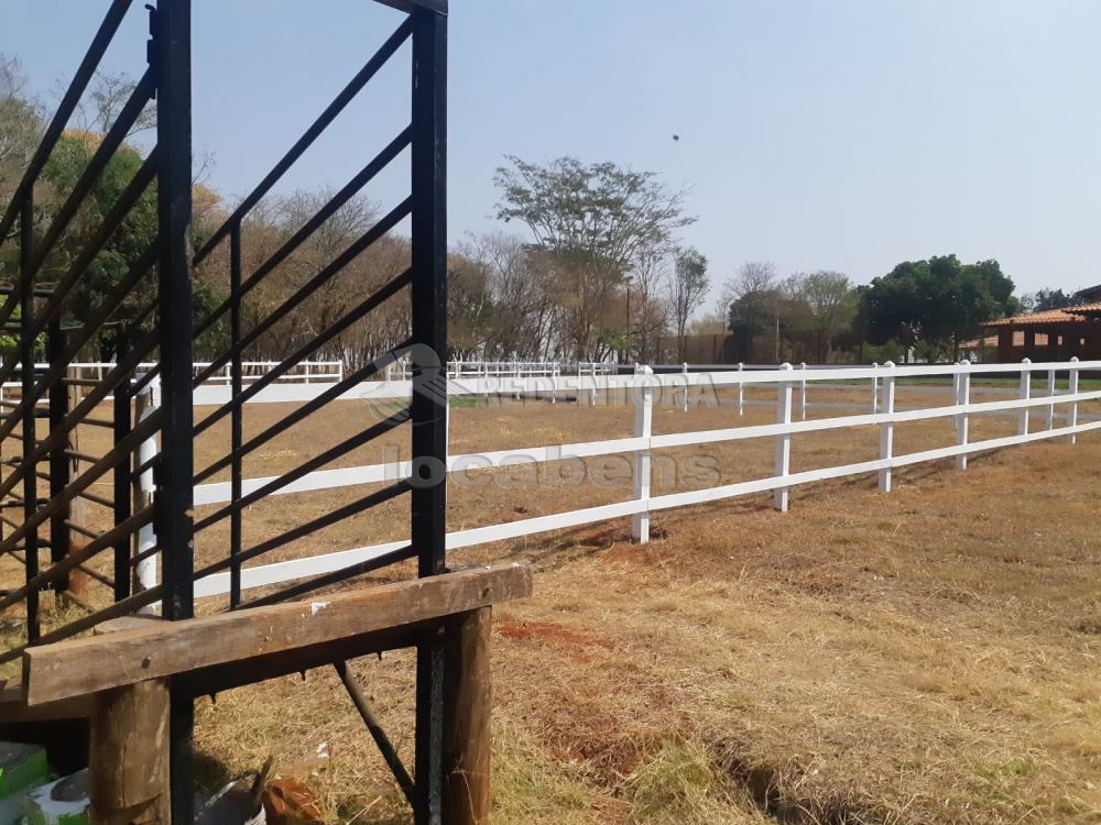 Comprar Rural / Chácara em Bady Bassitt R$ 2.900.000,00 - Foto 66