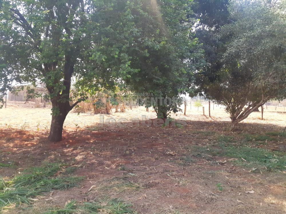 Comprar Rural / Chácara em Bady Bassitt R$ 2.900.000,00 - Foto 71