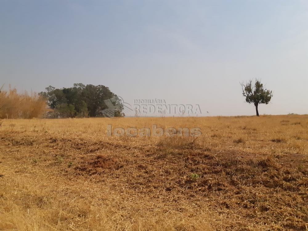 Comprar Rural / Chácara em Bady Bassitt R$ 2.900.000,00 - Foto 70