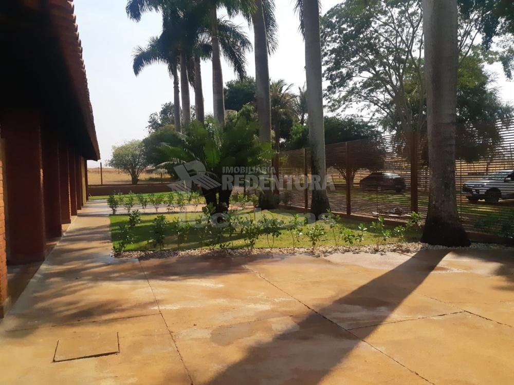 Comprar Rural / Chácara em Bady Bassitt R$ 2.900.000,00 - Foto 7