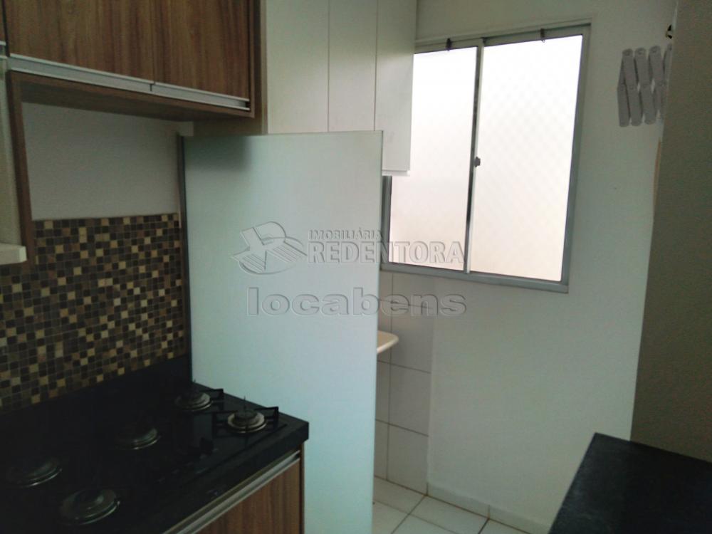 Alugar Apartamento / Padrão em São José do Rio Preto apenas R$ 800,00 - Foto 11