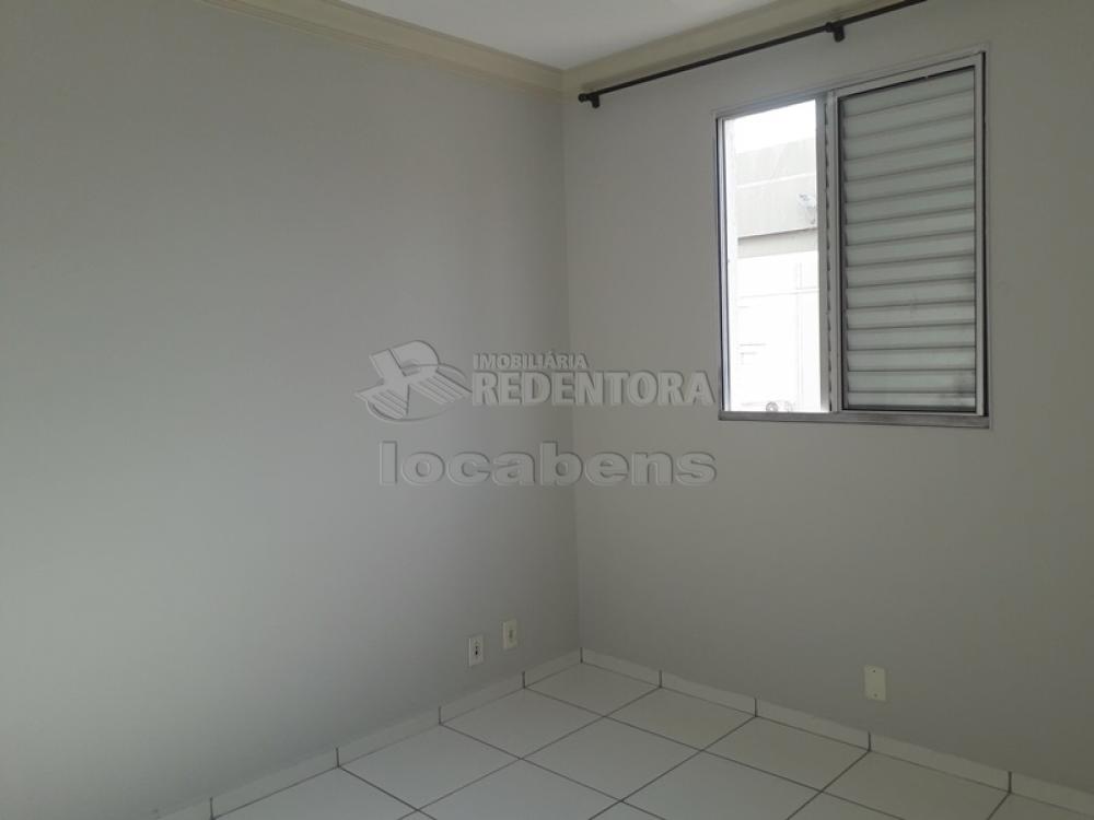 Comprar Apartamento / Padrão em São José do Rio Preto - Foto 7