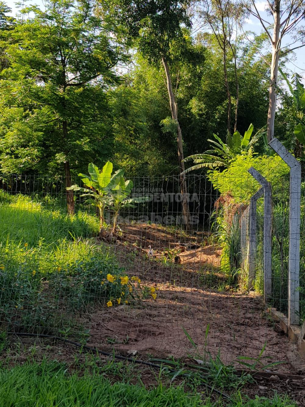 Comprar Rural / Sítio em Bady Bassitt R$ 2.050.000,00 - Foto 16