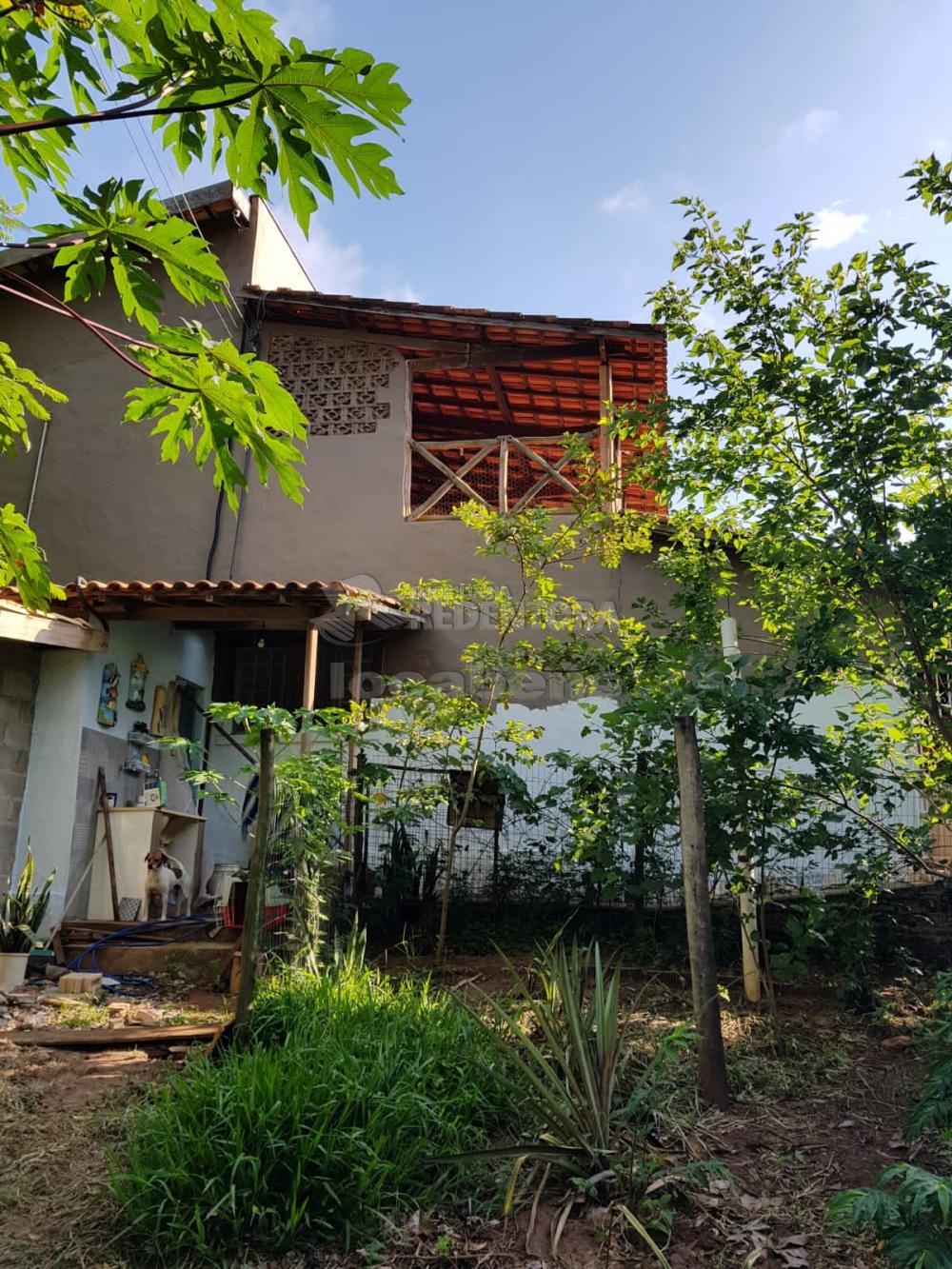 Comprar Rural / Sítio em Bady Bassitt apenas R$ 2.050.000,00 - Foto 24