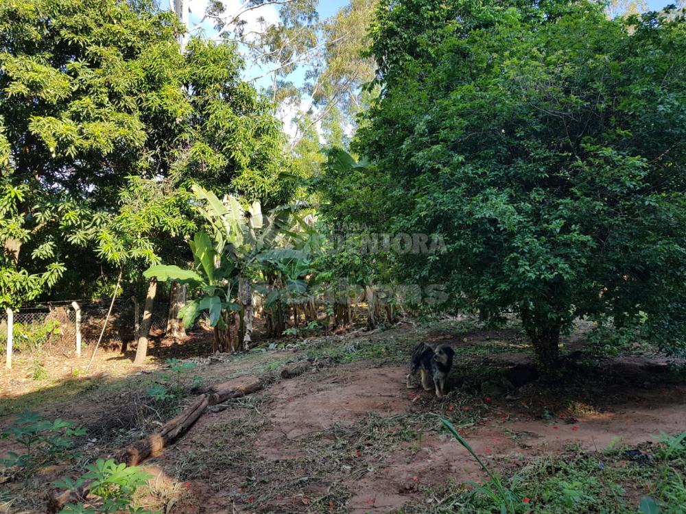 Comprar Rural / Sítio em Bady Bassitt apenas R$ 2.050.000,00 - Foto 27