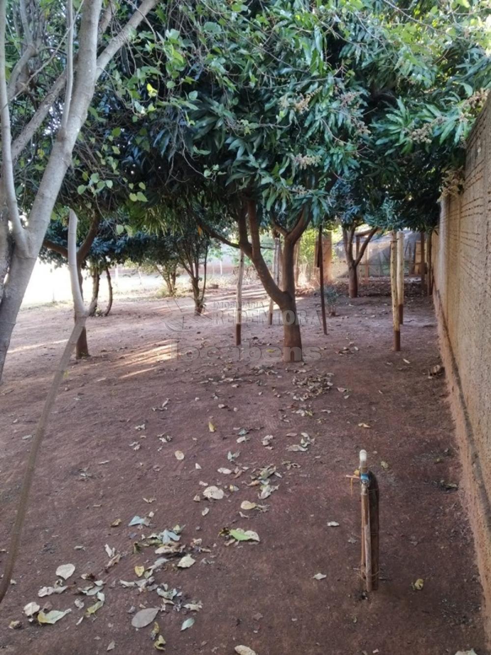 Comprar Rural / Chácara em Potirendaba apenas R$ 1.350.000,00 - Foto 6