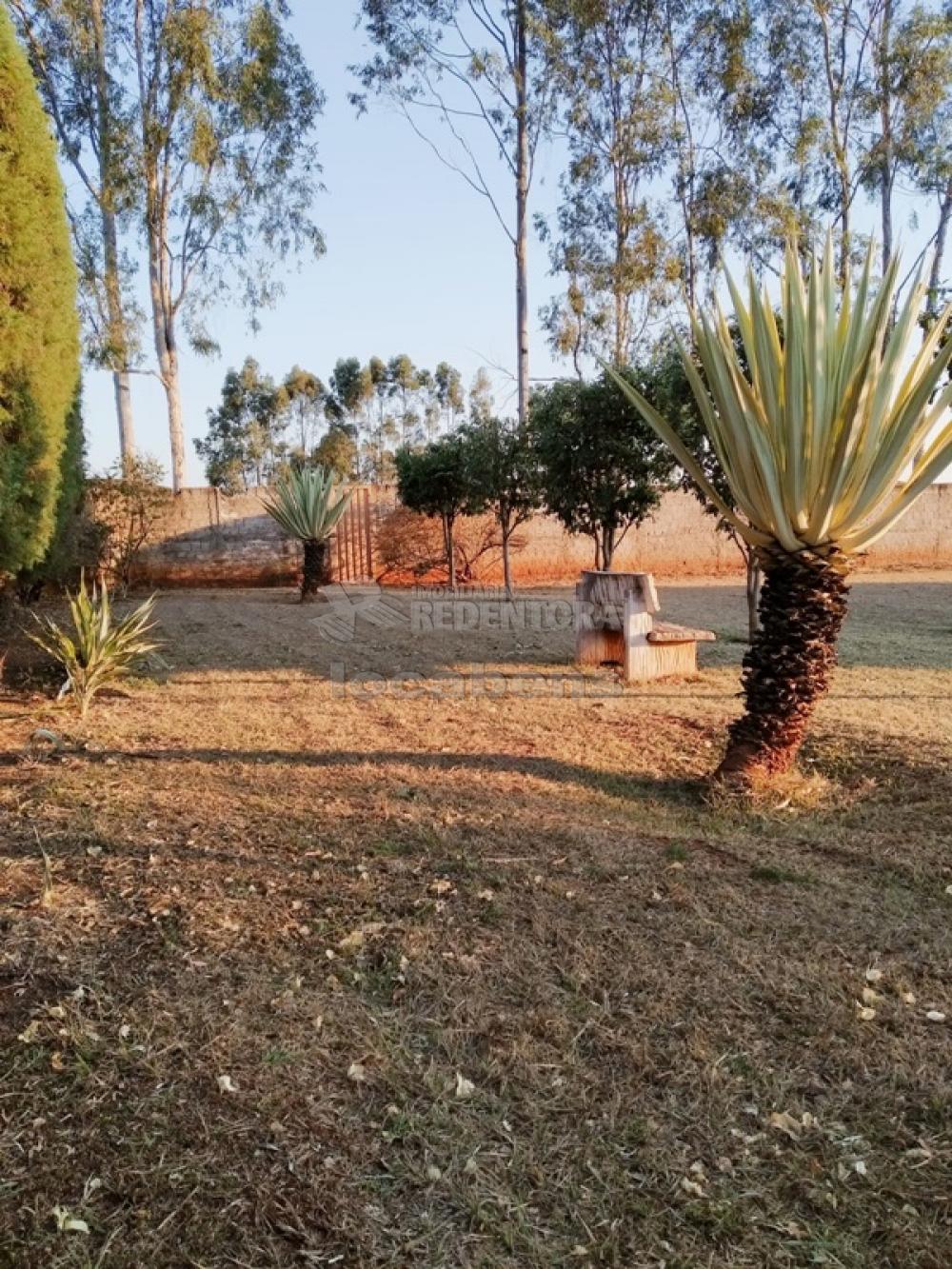 Comprar Rural / Chácara em Potirendaba R$ 1.350.000,00 - Foto 5