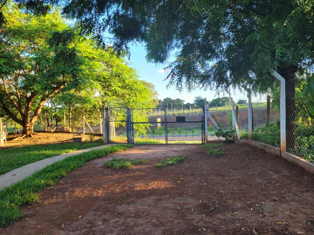 Fazenda à venda com 3 quartos, 48000m² - Foto 16