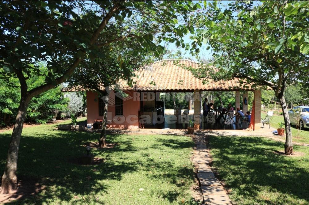 Alugar Rural / Rancho em Adolfo R$ 3.500,00 - Foto 3