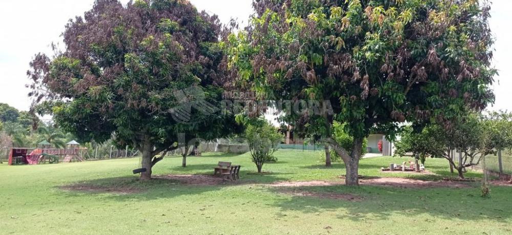 Alugar Rural / Chácara em Ruilândia apenas R$ 3.500,00 - Foto 4