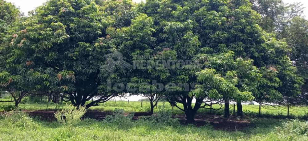 Alugar Rural / Chácara em Ruilândia apenas R$ 3.500,00 - Foto 15